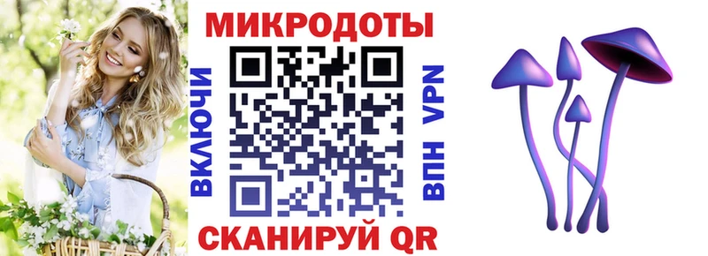 Псилоцибиновые грибы MAGIC MUSHROOMS где найти Кумертау
