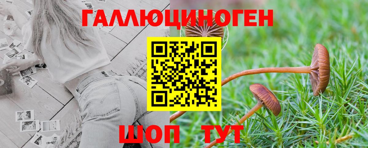 Галлюциногенные грибы мухоморы  Вход с VPN  Кумертау  продажа наркотиков  Галлюциногенные грибы мицелий 